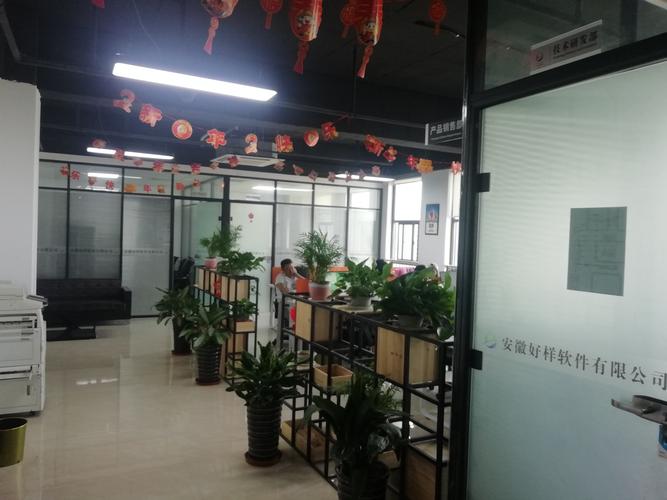 数字化浪潮下的综合性信息技术服务 从软件开发到网络咨询